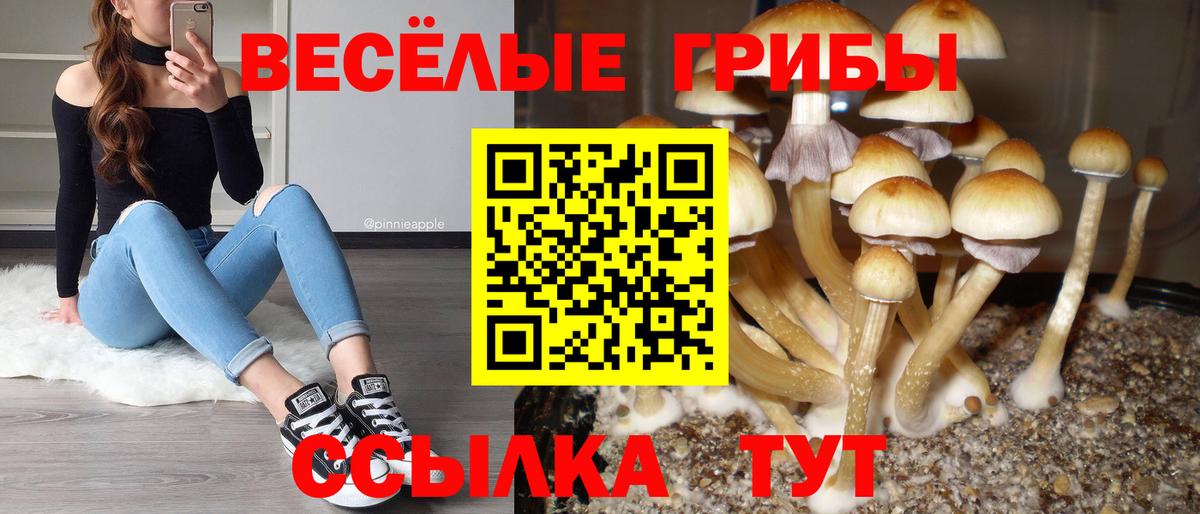 Асбест  Галлюциногенные грибы прущие грибы  где можно купить наркотик  Псилоцибиновые грибы Magic Shrooms  Вход с VPN 